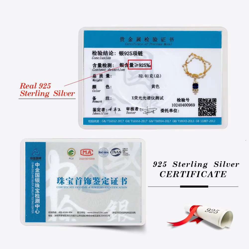 925 Sterling Silver Moissanite Necklace with White Blue Shiny Cubic Zircon Stone Luxury Wedding Pendant for Women Brides