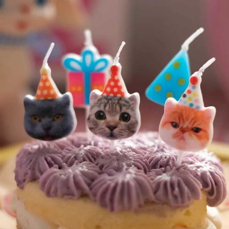 Cat Birthday Candles Pet Birthday Cake Decoration Cat Gift Box Candles Childrens Birthday Party Cake Baking Decoration W250704