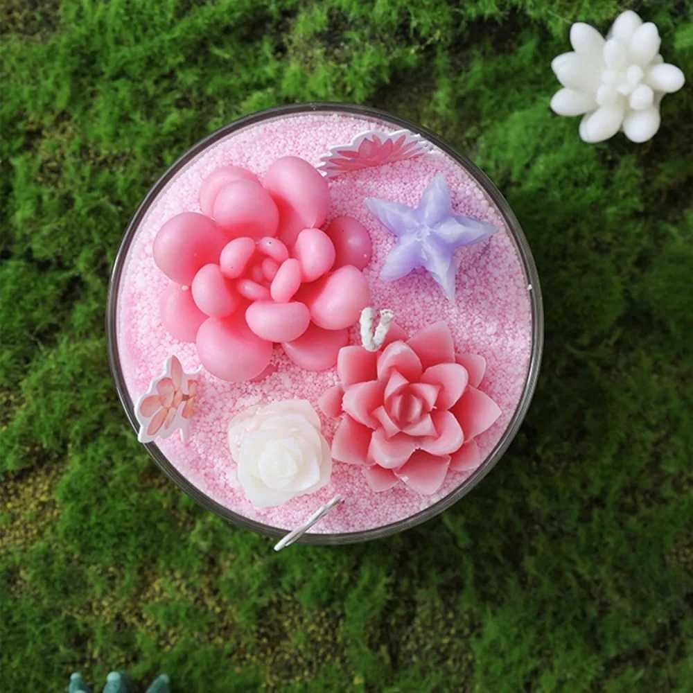 Candle KitSucculents DIY Handmade Scented Candles Can Be Used To Make Scented CandlesGreat For Beginners Childrens Christmas Gifts W250704