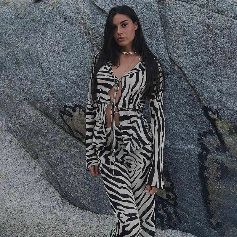 Cryptographic Animal Print Mesh Sheer Stripe Tie Front Detail Top Matching Sets Fashion Outfits 2 Piece Holiday Beachwear 250704