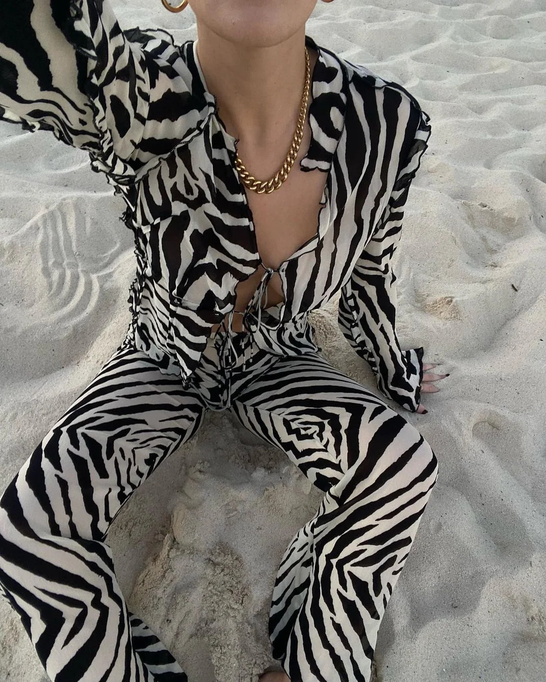 Cryptographic Animal Print Mesh Sheer Stripe Tie Front Detail Top Matching Sets Fashion Outfits 2 Piece Holiday Beachwear 250704