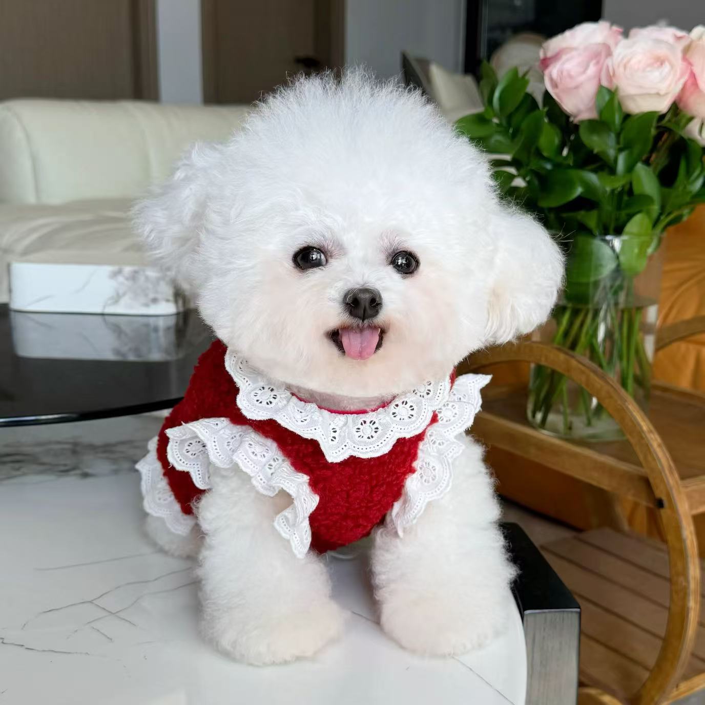 T618 Pet floral bow pumpkin skirt cat dog clothes comfortable breathable Teddy Bichon