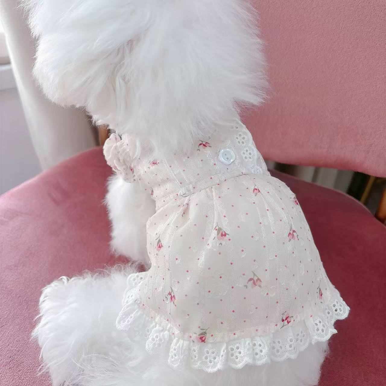 T613 Spring and summer clear thin lace pet cat and dog clothes floral Bichon Teddy light princess dress