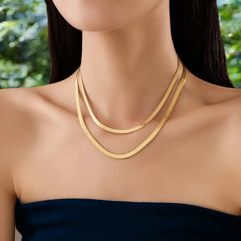 Double Layer Snake Bone Chain Fashion Trend Simple Design Gold-Plated Titanium Steel Elegant Versatile Necklace