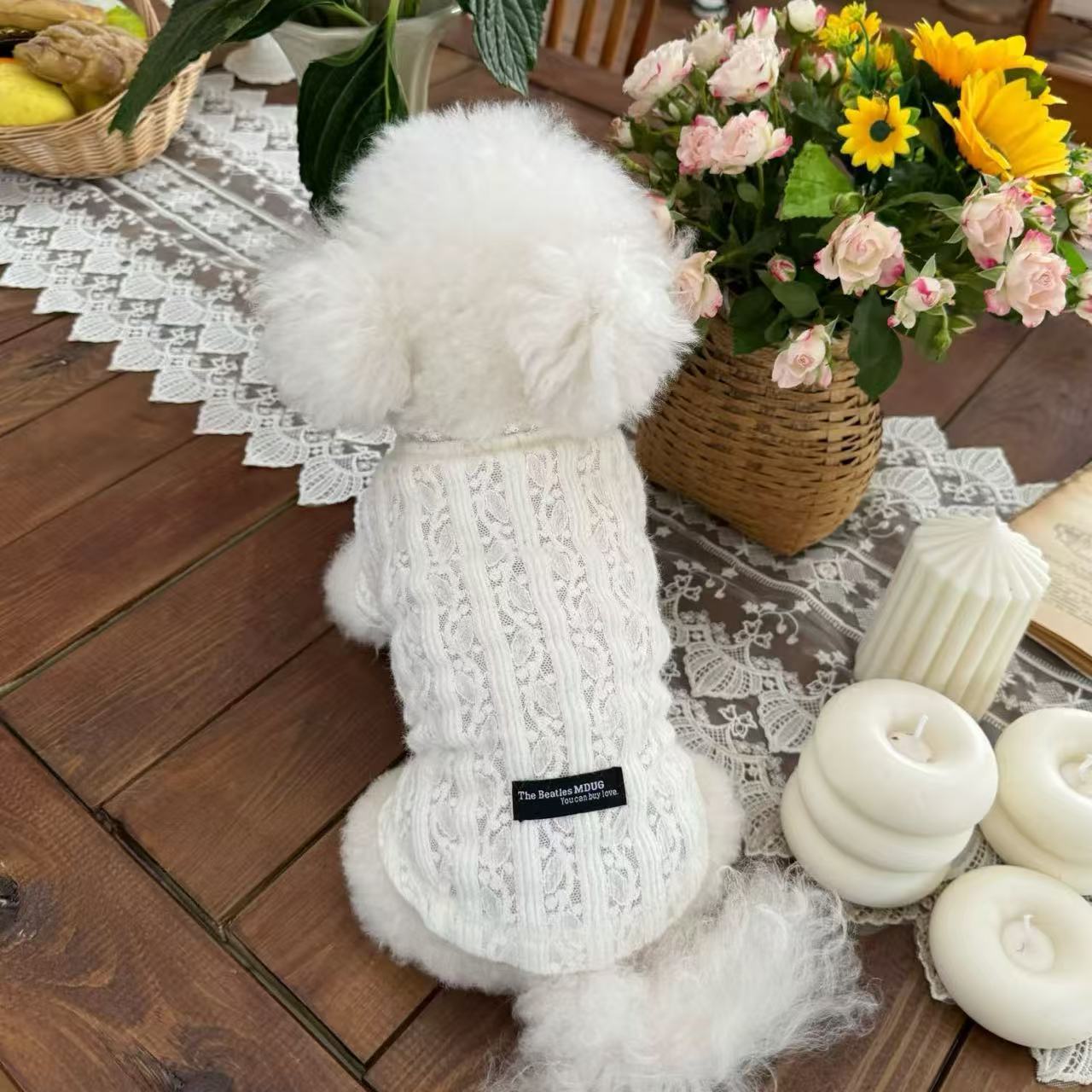 T619 Vest Dress Cute Warm Teddy Bichon Dog Cotton-padded Jacket