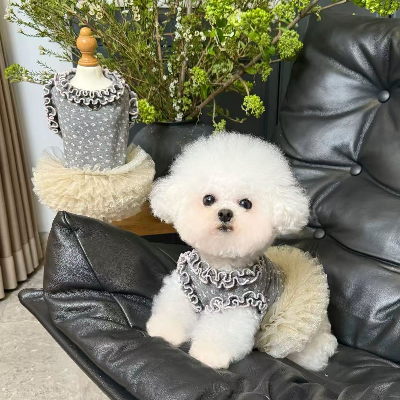 T616 Pet clothes autumn and winter new Christmas and New Year plus velvet vest dog sweater New Year coat