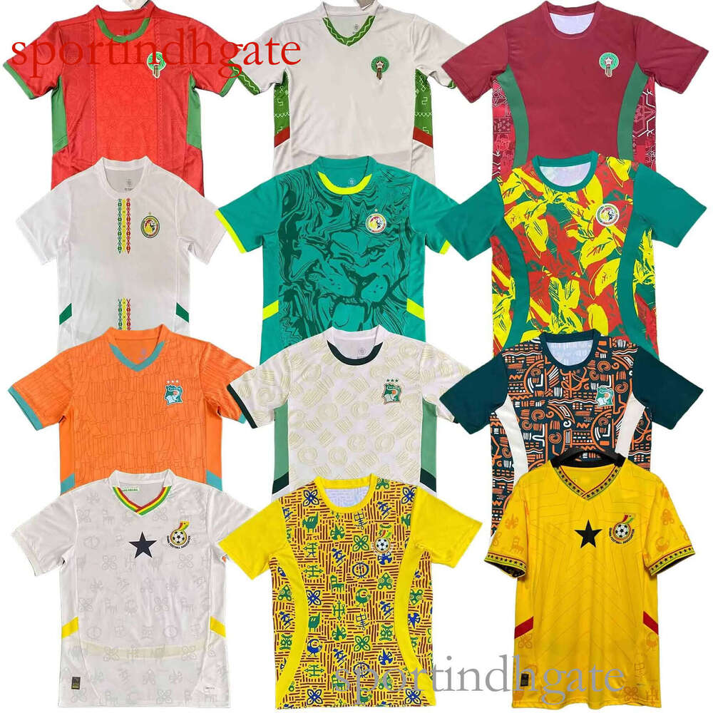 Africa Nations Socc… - image