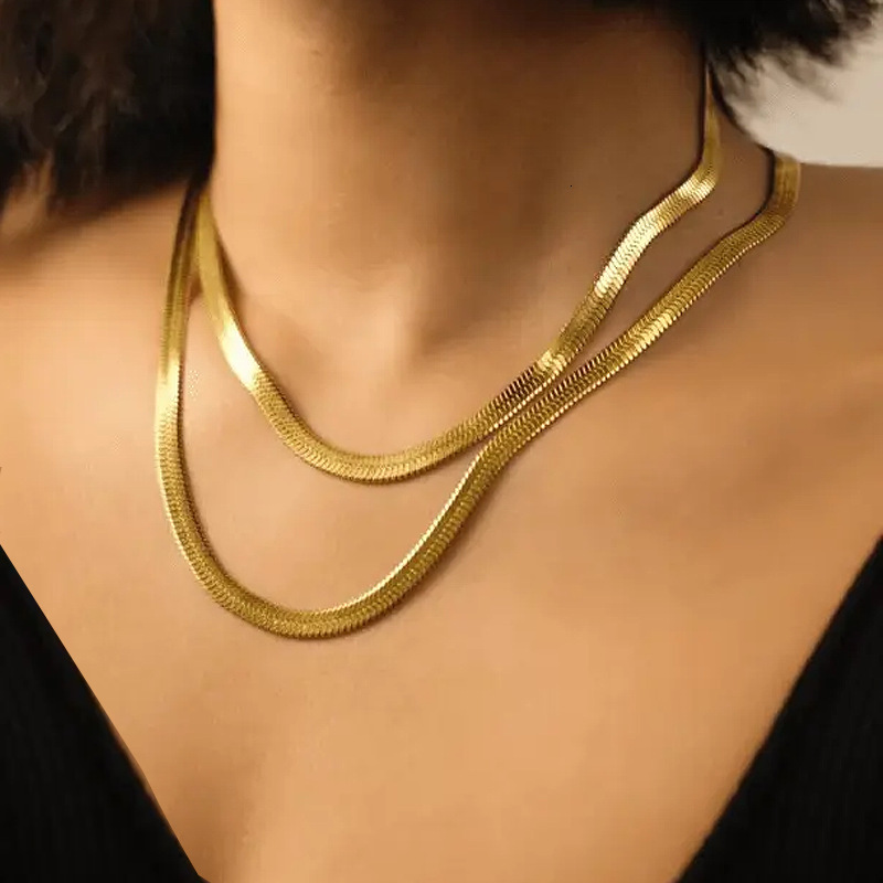 Double Layer Snake Bone Chain Fashion Trend Simple Design Gold-Plated Titanium Steel Elegant Versatile Necklace