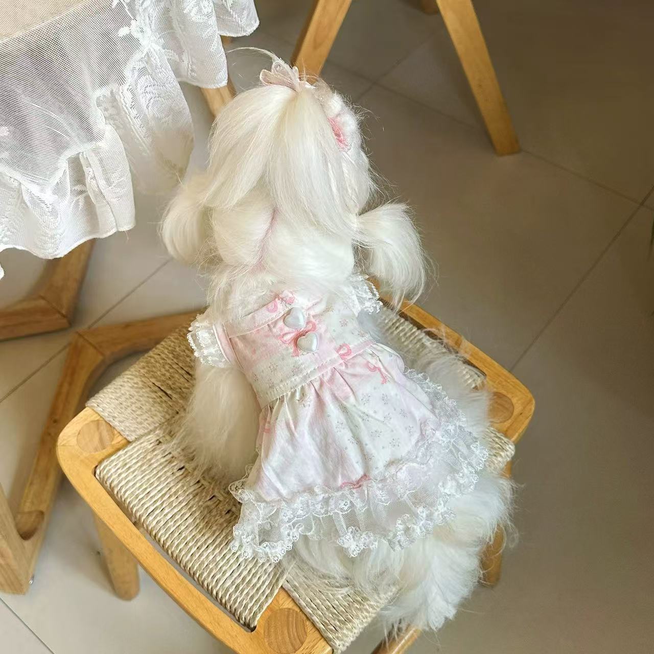 T620 Dog Cute Bear Doll Collar Overall Dress