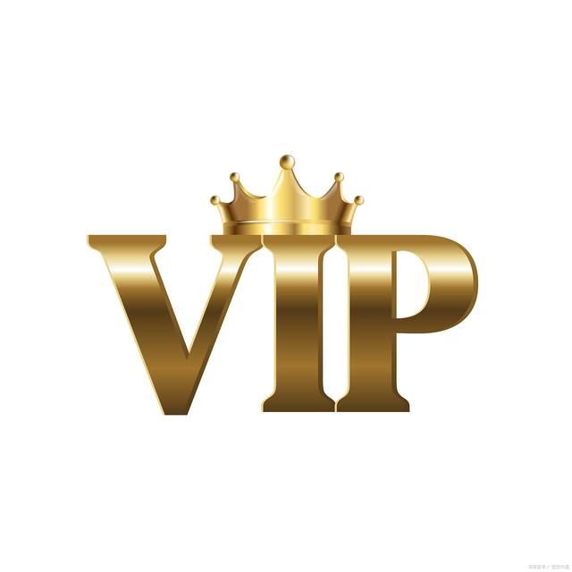 wholesale VIP customers customize exclusive secure payment links