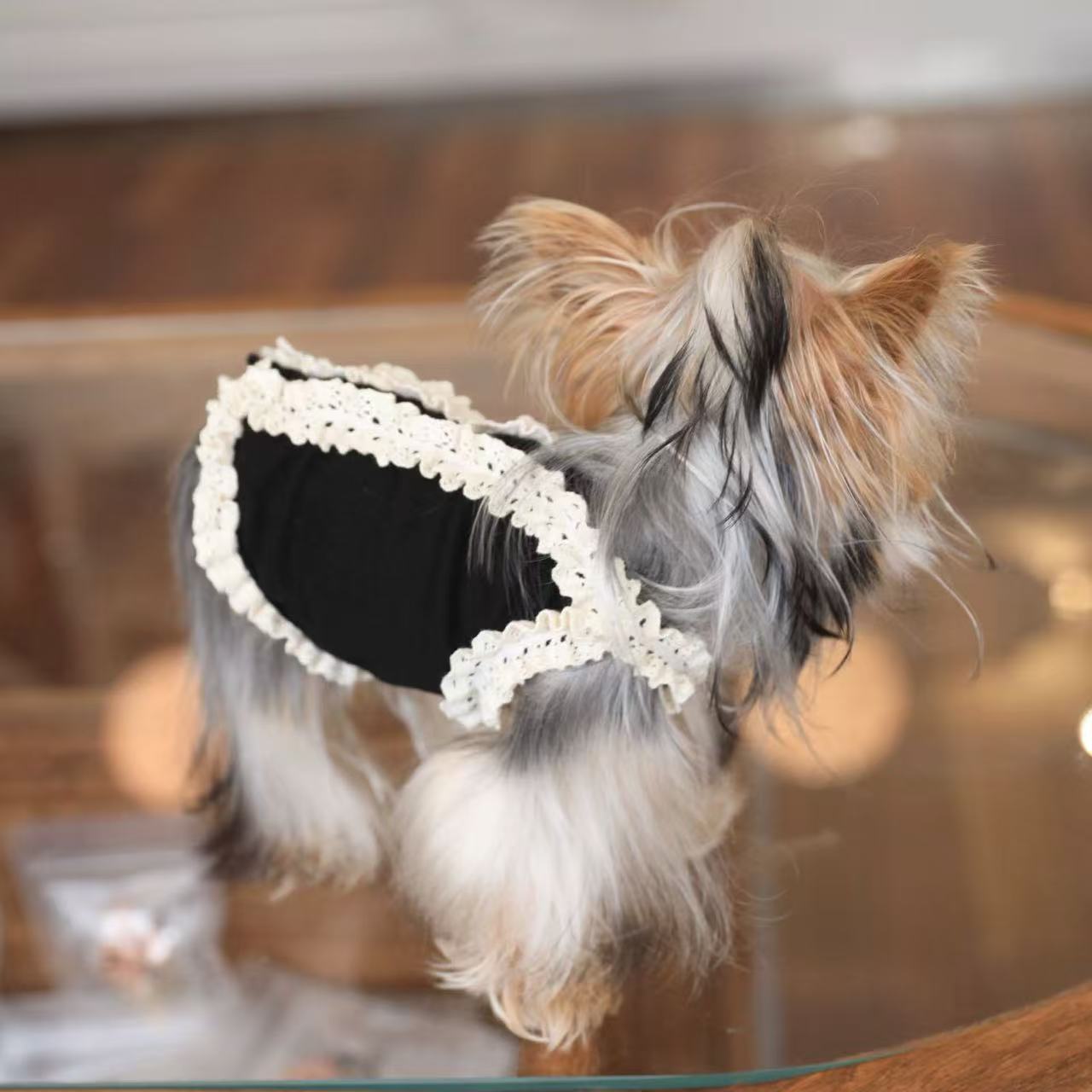 T612 Original striped dog clothes summer thin bichon teddy small dog pet vest sling