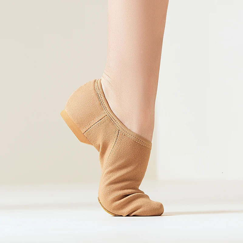Jazz Shoes Womens Dance Shoes Modern National Indoor Exam Special Training Teacher Adult Classical Soft Soled Shoes 250628