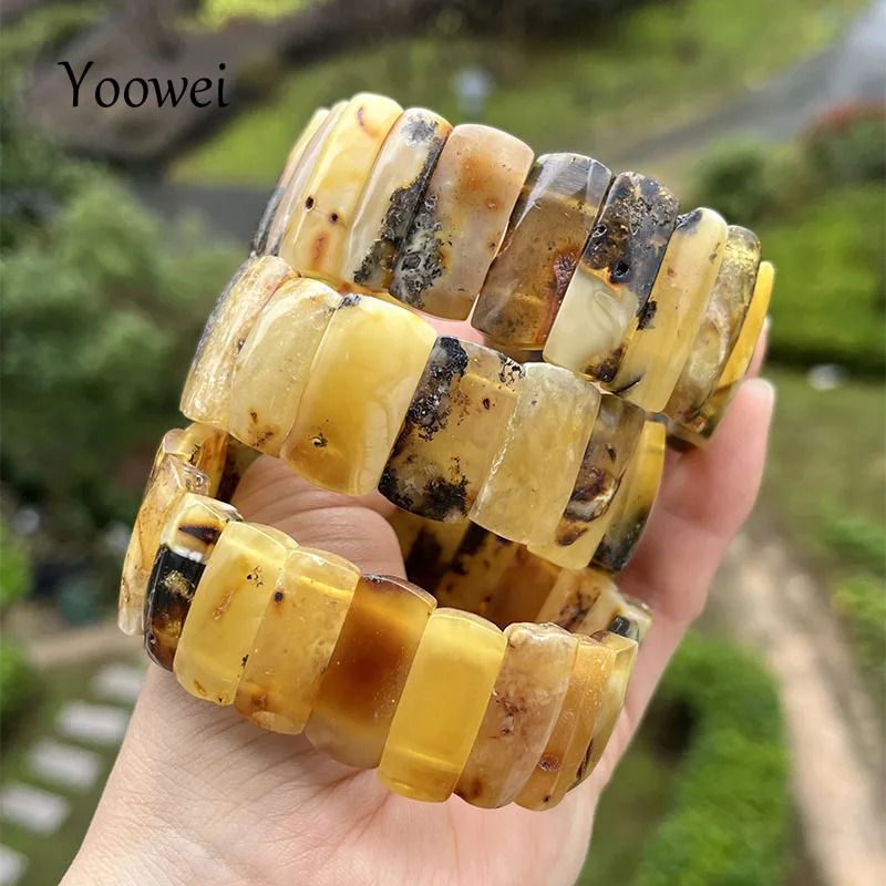 Natural Amber Bracelet Bangles for Unisex Gogerous Gift Genuine Bead Factory Baltic Stone Europe Amber Jewelry Gift Supplier 250628
