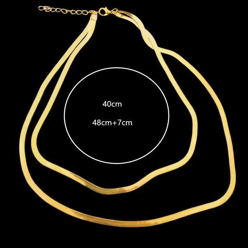 Double Layer Snake Bone Chain Fashion Trend Simple Design Gold-Plated Titanium Steel Elegant Versatile Necklace