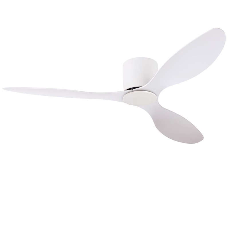 Modern LED Ceiling Fan with Light - Energy Efficient Lighting