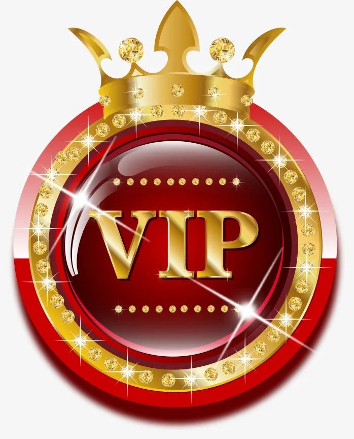 wholesale VIP customers customize exclusive secure payment links