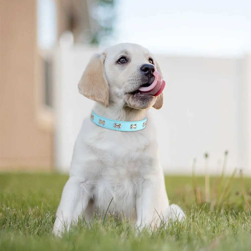 Bone Rivets Leather Dog Collar Colourful Puppy Neck Strap Collar For Small Medium Large Dogs Cat Pug Chihuahua Accessories S-XL R250704
