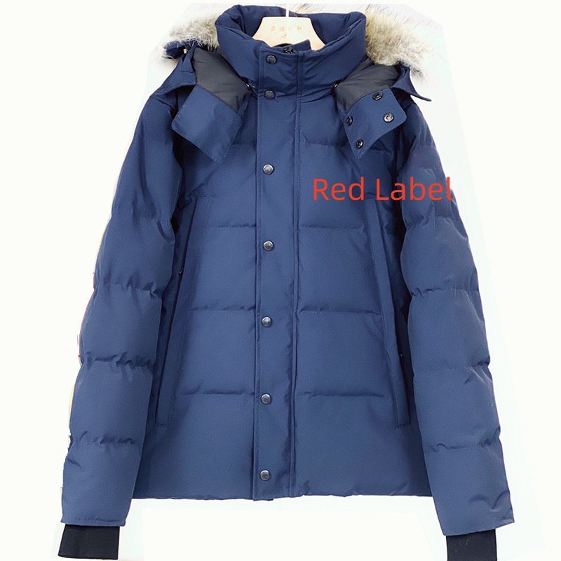 Jackets Designer Wo… - image