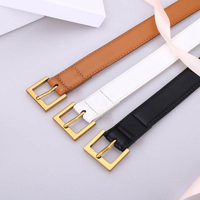 Women Belts High Quality Designer Belts Fashion Luxury Famous Needle Buckle Belts For Dress Leather Belt Jeans Waist Strap 2.5cm