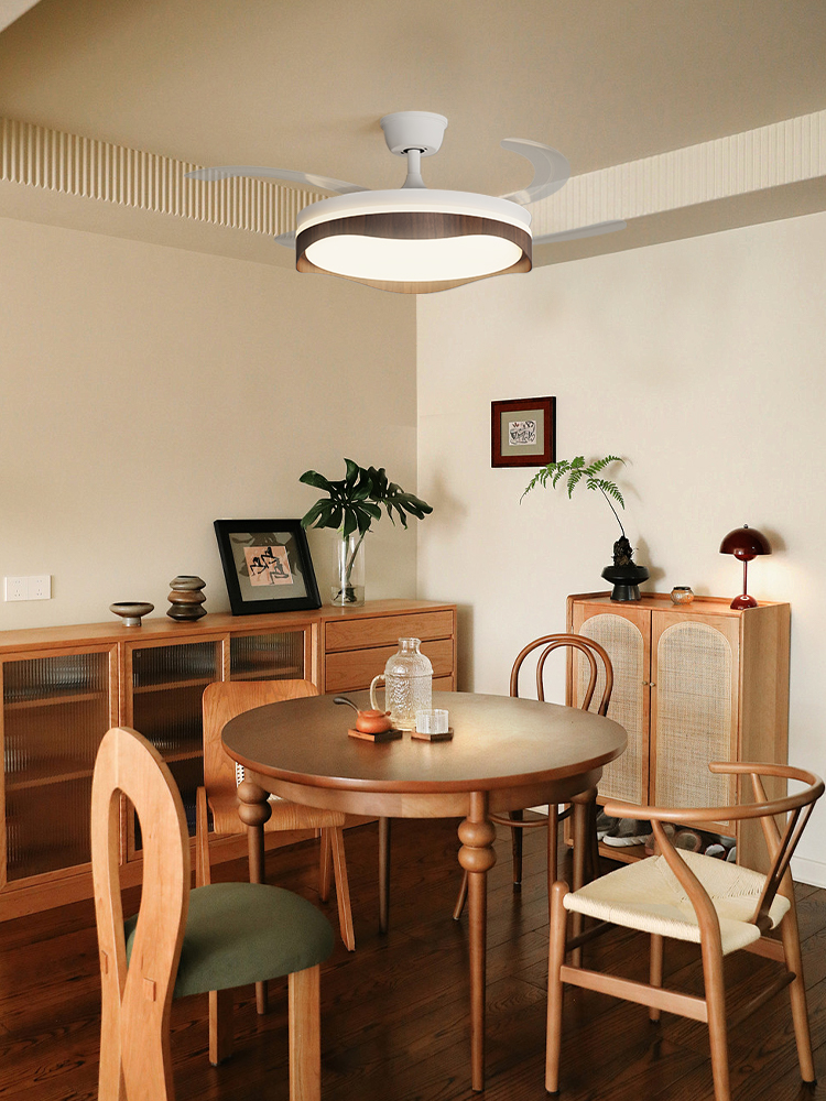 Stylish Invisible Leafless Ceiling Fan Light with Built-in LED for Enhanced Lighting & Air Circulation