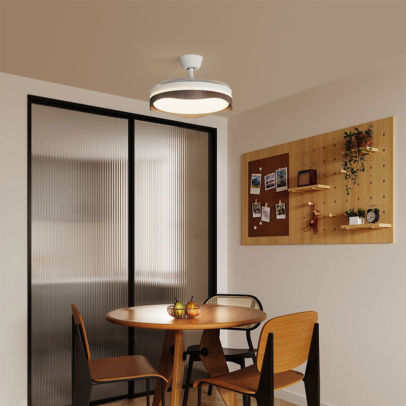 Stylish Invisible Leafless Ceiling Fan Light with Built-in LED for Enhanced Lighting & Air Circulation
