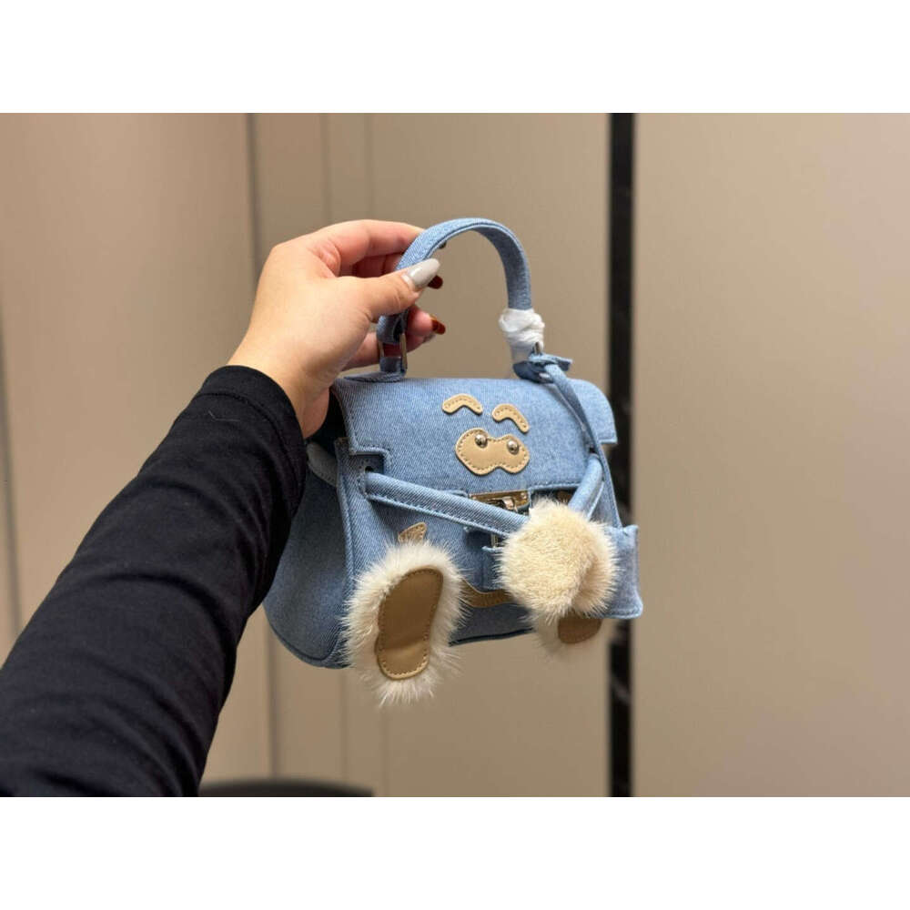 Designer Bags High quality 2025 Autumn Winter New Style All-In-One Handbag Senior Patchwork Crossbody Bags Suede Commuter Bag