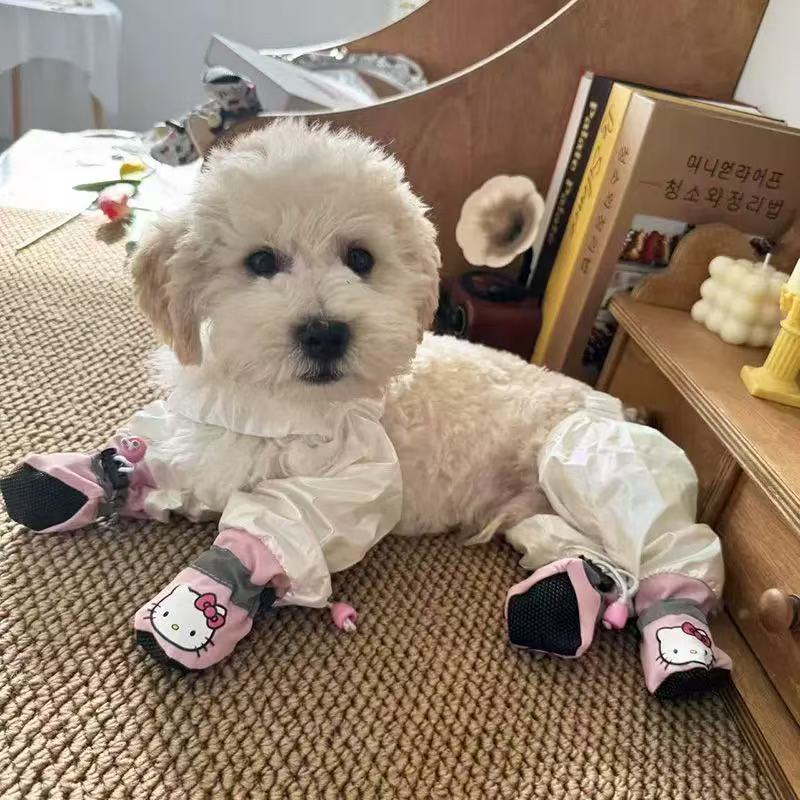 Owen Dog walking outside dust-proof, dirt-proof and insect-proof four-legged pants for small dogs in spring and summer, Teddy, Bichon, Maltese