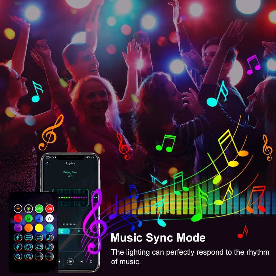 DC5V Christmas Dreamcolor LED String Lights Bluetooth Music WS2812B RGBIC Rainbow Fairy Lights for Room DIY Decoration 1-50M W250701