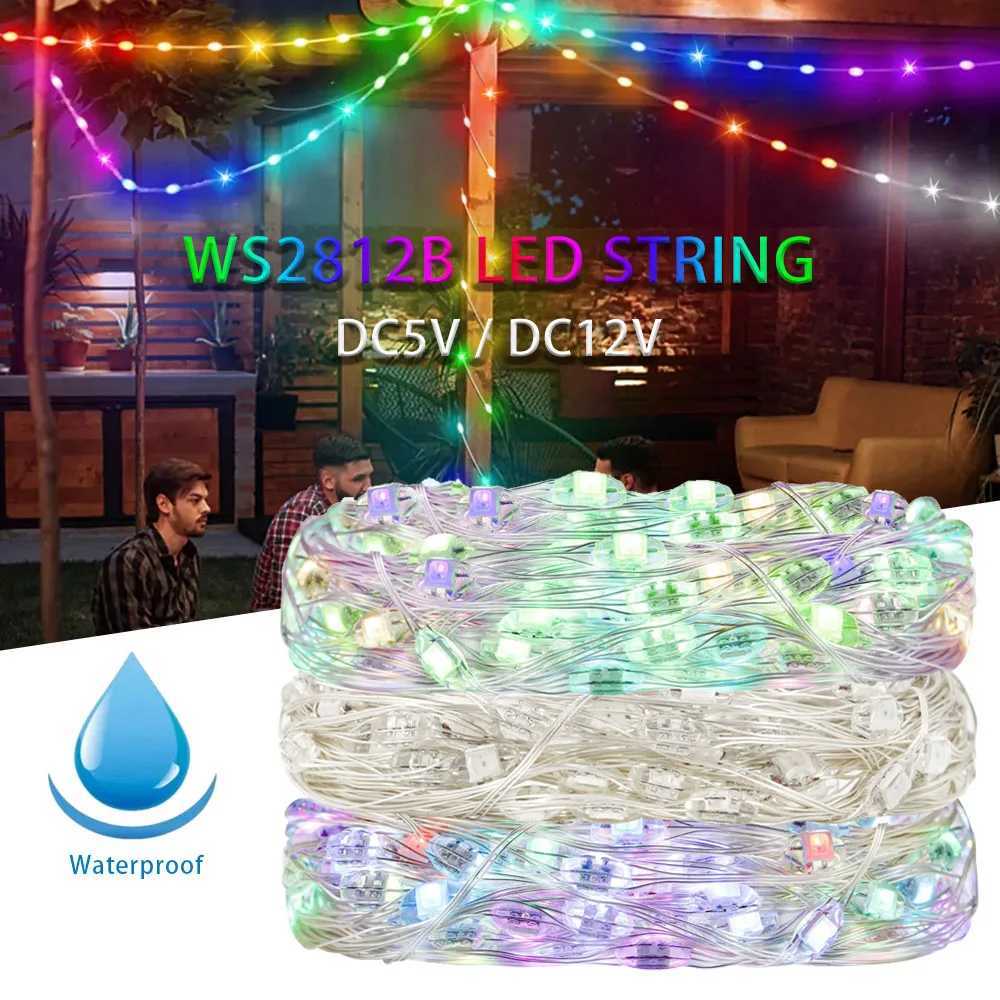 WS2812B RGBIC LED Strip String Copper Wire WS2812 Individually Addressable Party Wedding Garland Decoration Christmas Lights DC5V/12V W250701