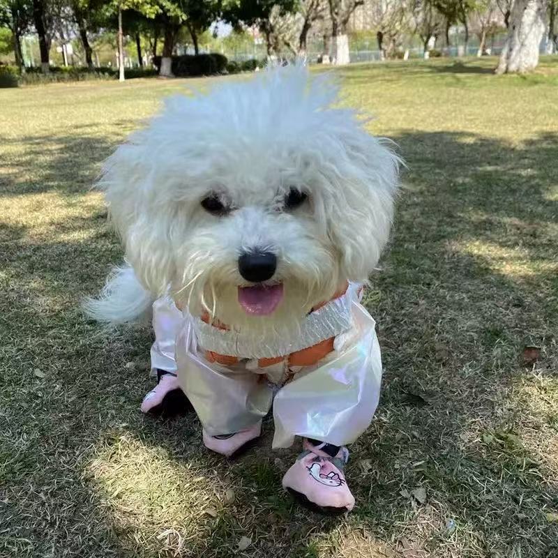 T695 Pet clothes summer new color contrast polka dot traction buckle princess dress Teddy Bichon dog cat thin clothes