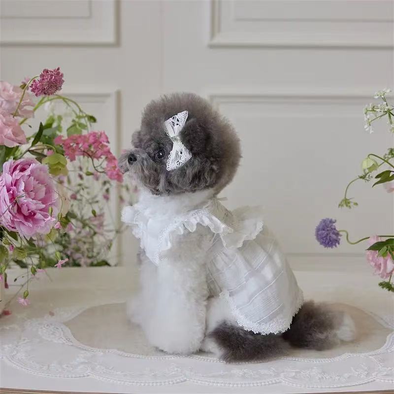 T641 Pet dog cat clothes Teddy Bichon French Bulldog Corgi Schnauzer small and medium dog summer striped lace dress