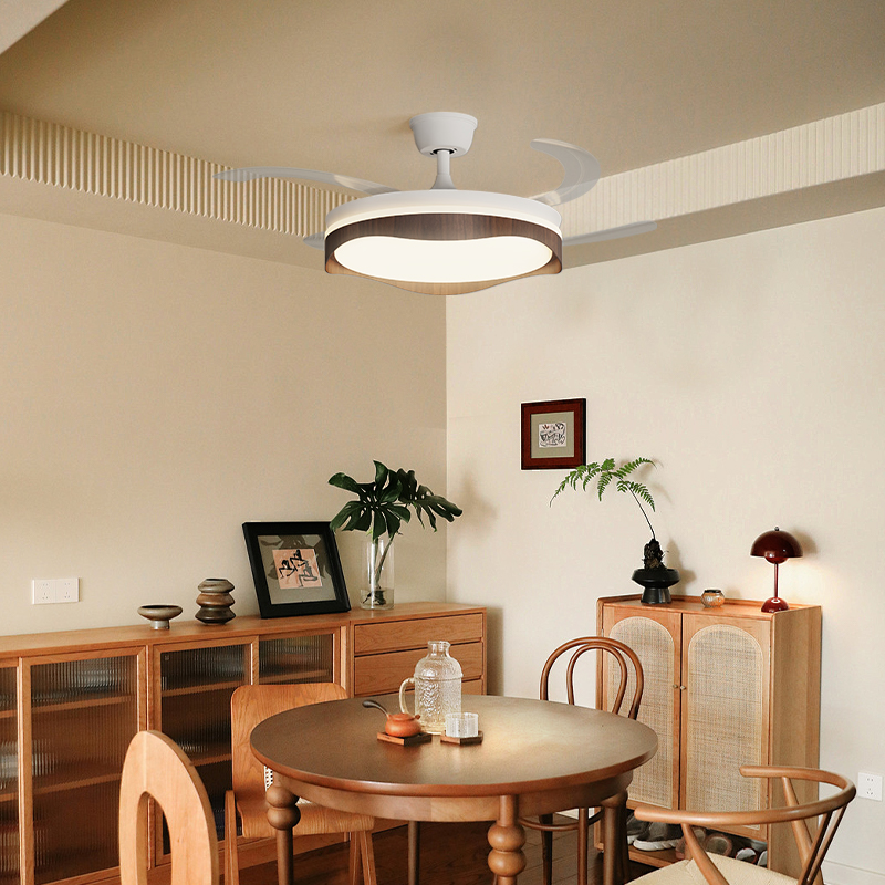 Stylish Invisible Leafless Ceiling Fan Light with Built-in LED for Enhanced Lighting & Air Circulation