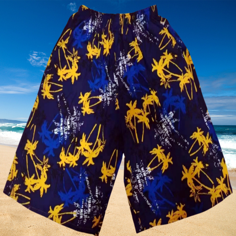 Designer Summer Men's Beach Pants Casual Pants Quick Drying Men's Beach Pants Plus Size Pants European And American Fashion Cross Border Men