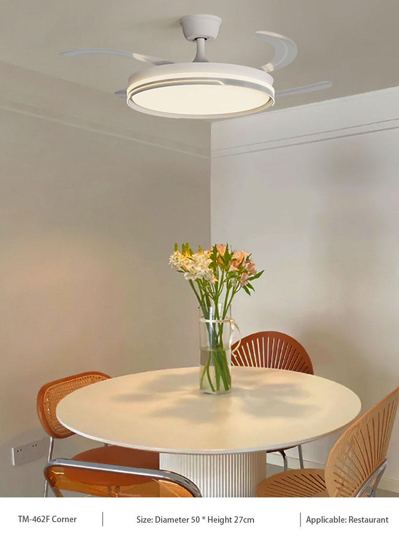 Stylish Contemporary Ceiling Fans Integrated with Brightening Lights for Cozy Spaces Variable frequency 6-speed