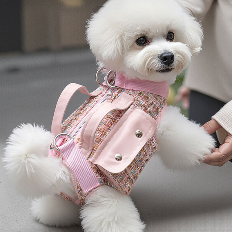 Designer Xiaoxiangfeng Doggy Crossbody Bag for Outings, cat carrier, Pet Dog Bag, Lightweight Single Shoulder Bag Dog travel bag