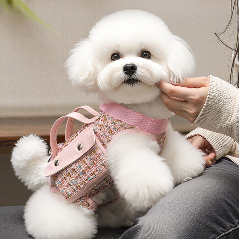 Designer Xiaoxiangfeng Doggy Crossbody Bag for Outings, cat carrier, Pet Dog Bag, Lightweight Single Shoulder Bag Dog travel bag