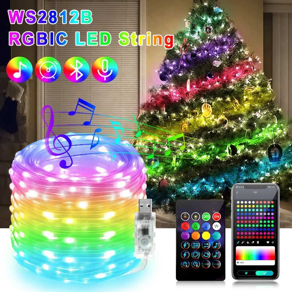 DC5V Christmas Dreamcolor LED String Lights Bluetooth Music WS2812B RGBIC Rainbow Fairy Lights for Room DIY Decoration 1-50M W250701