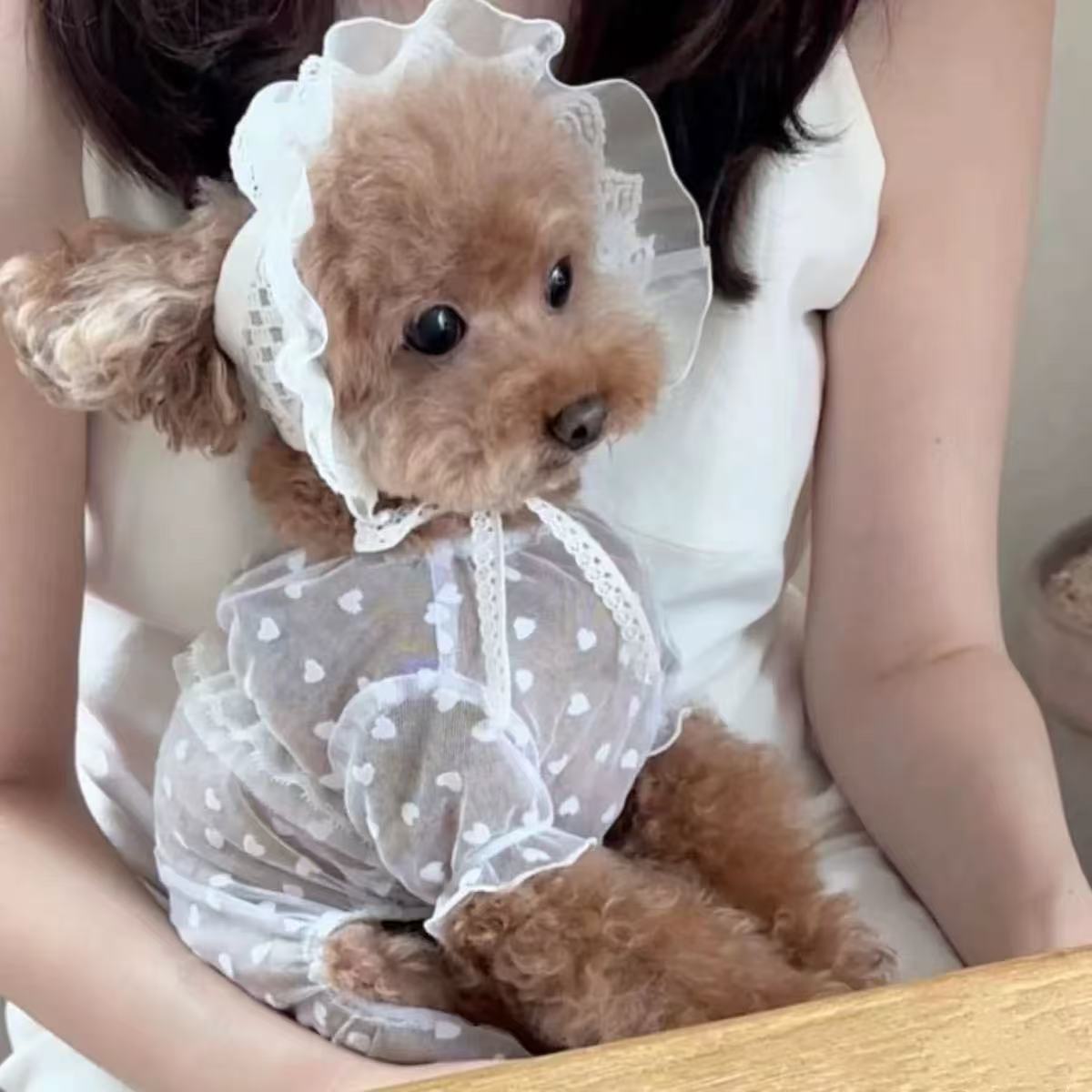 T644 Dog clothes lace skirt summer mesh cat clothes cat cute princess clothes anti-drop