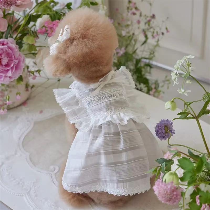 T641 Pet dog cat clothes Teddy Bichon French Bulldog Corgi Schnauzer small and medium dog summer striped lace dress