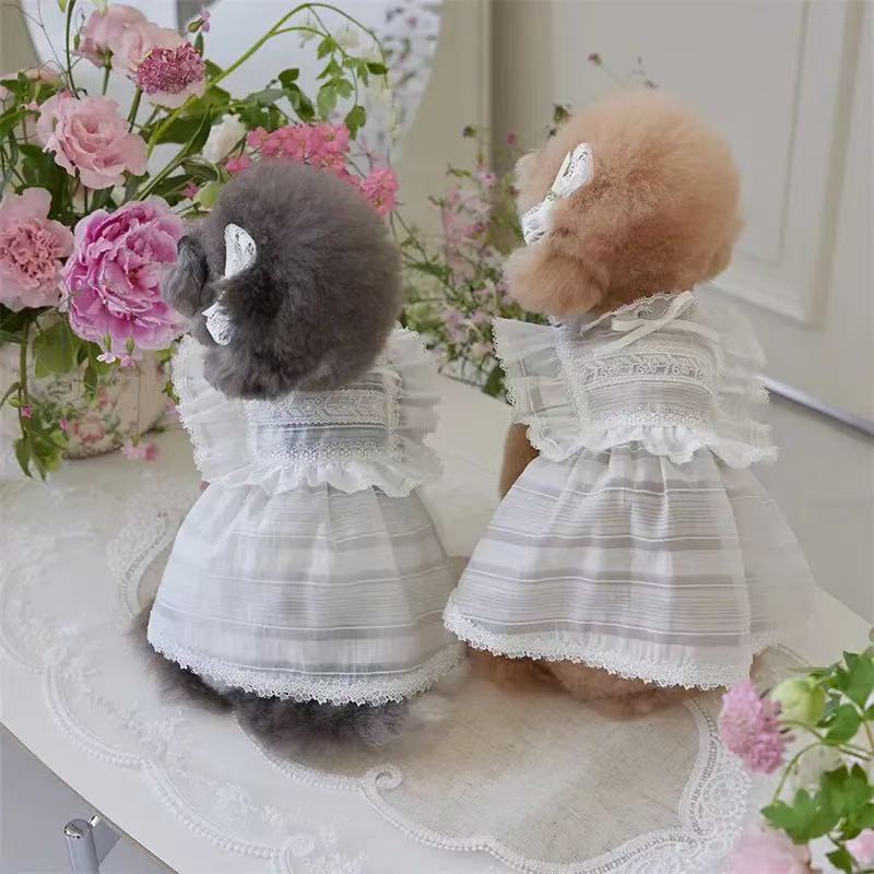 T641 Pet dog cat clothes Teddy Bichon French Bulldog Corgi Schnauzer small and medium dog summer striped lace dress