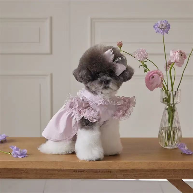 T639-2 Pet cat and dog clothes cute home clothes Maltese Bichon Frise small dog spring and summer Shih Tzu dog clothes