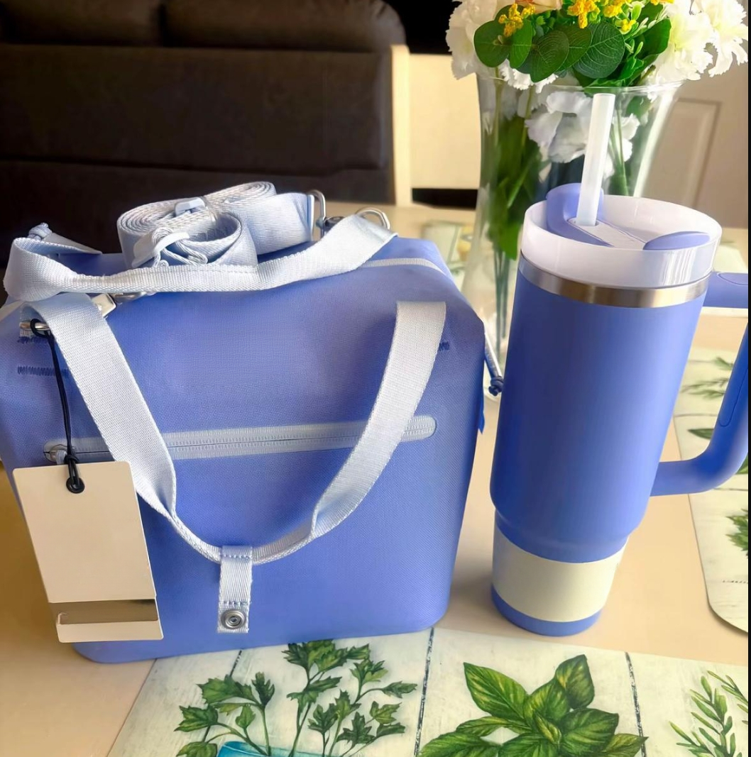 US Warehouse Lunch Bag All Day Julienne Mini Soft Cooler Lunch Box 10-Can Recycled Polyester Cooler 12-Hour Cooling Travel Cooler Bags IN HAND