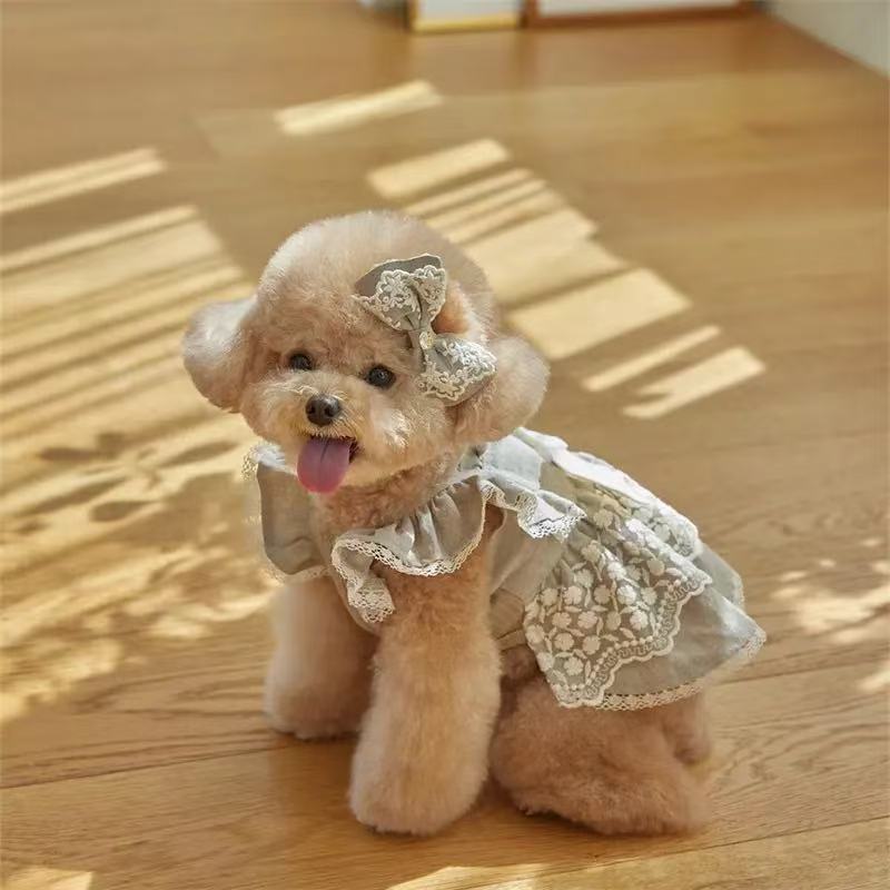 T640 Pet Clothes for Dogs and Cats Spring and Summer Lace Flying Sleeves Ladies Dress Small Teddy Bear