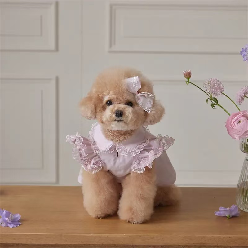 T639-2 Pet cat and dog clothes cute home clothes Maltese Bichon Frise small dog spring and summer Shih Tzu dog clothes