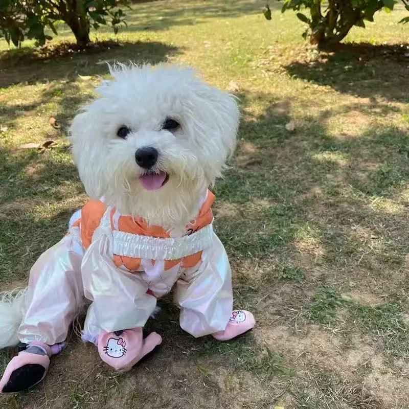 T645 Dog walking outside dust-proof, dirt-proof and insect-proof four-legged pants for small dogs in spring and summer, Teddy, Bichon, Maltese