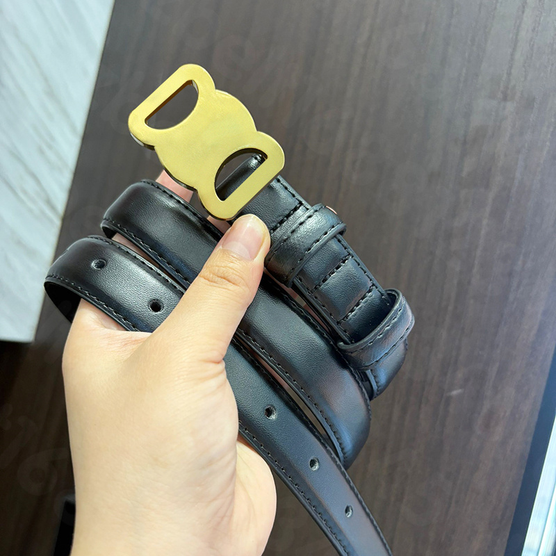 Luxury belt High Quality Designer Cowskin Leather Black Brown Bronze White Red Belt Womens Arc de Triomphes Classic ceinture Casual Belts Width 2.5cm with box