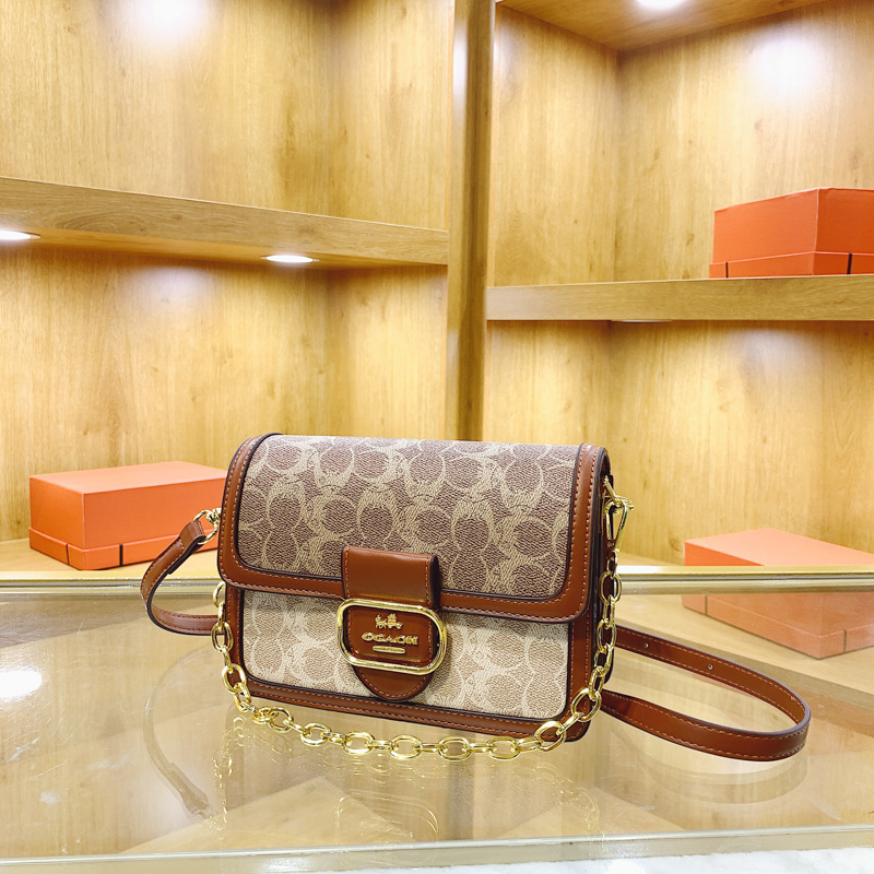 Designer High-End French Style for Women 2025 New Trendy Fashion Chain Versatile Crossbody Shoulder Small Square Light Luxury Women's Bag