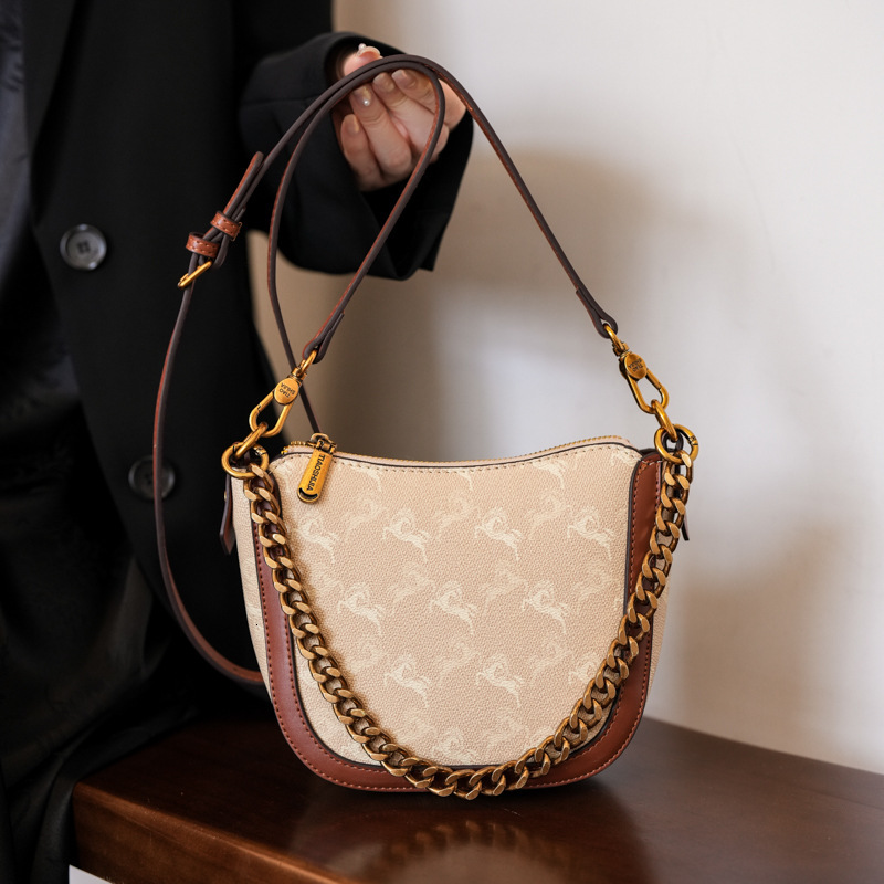 Designer High-End Small for Women 2025 New Chain Printed Bucket Versatile Elegant Fashion Shoulder Crossbody Light Luxury Women's Bag