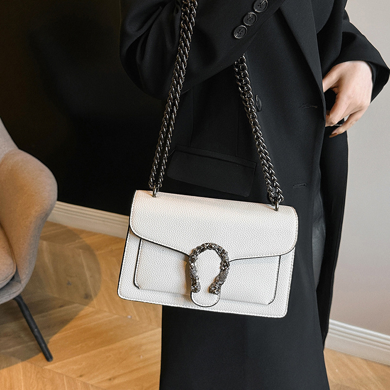 Designer High-End Feel 2025 New Fashion Chain Shoulder Crossbody Small Square Dionysian Light Luxury Women's Bag
