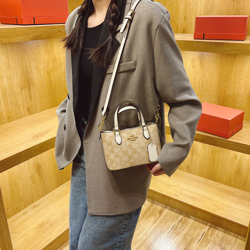 Designer High-End Feel for Women 2025 New Style Elegant Printed Handbag Small Versatile Shoulder Crossbody Light Luxury Women's Bag